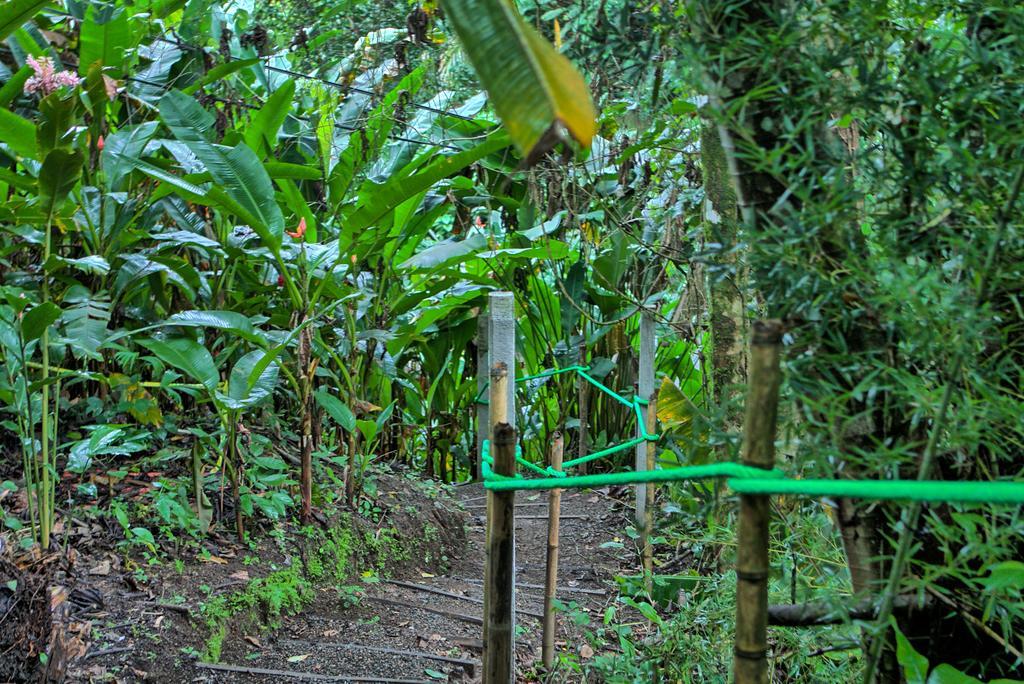 Hotel Mountain Paradise La Fortuna Exterior foto